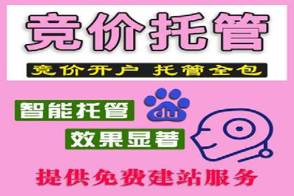某科技公司如何利用百度竞价排名服务提升品牌知名度